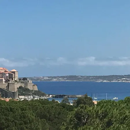 Superbe Vue Et Citadelle Calvi (Corsica)